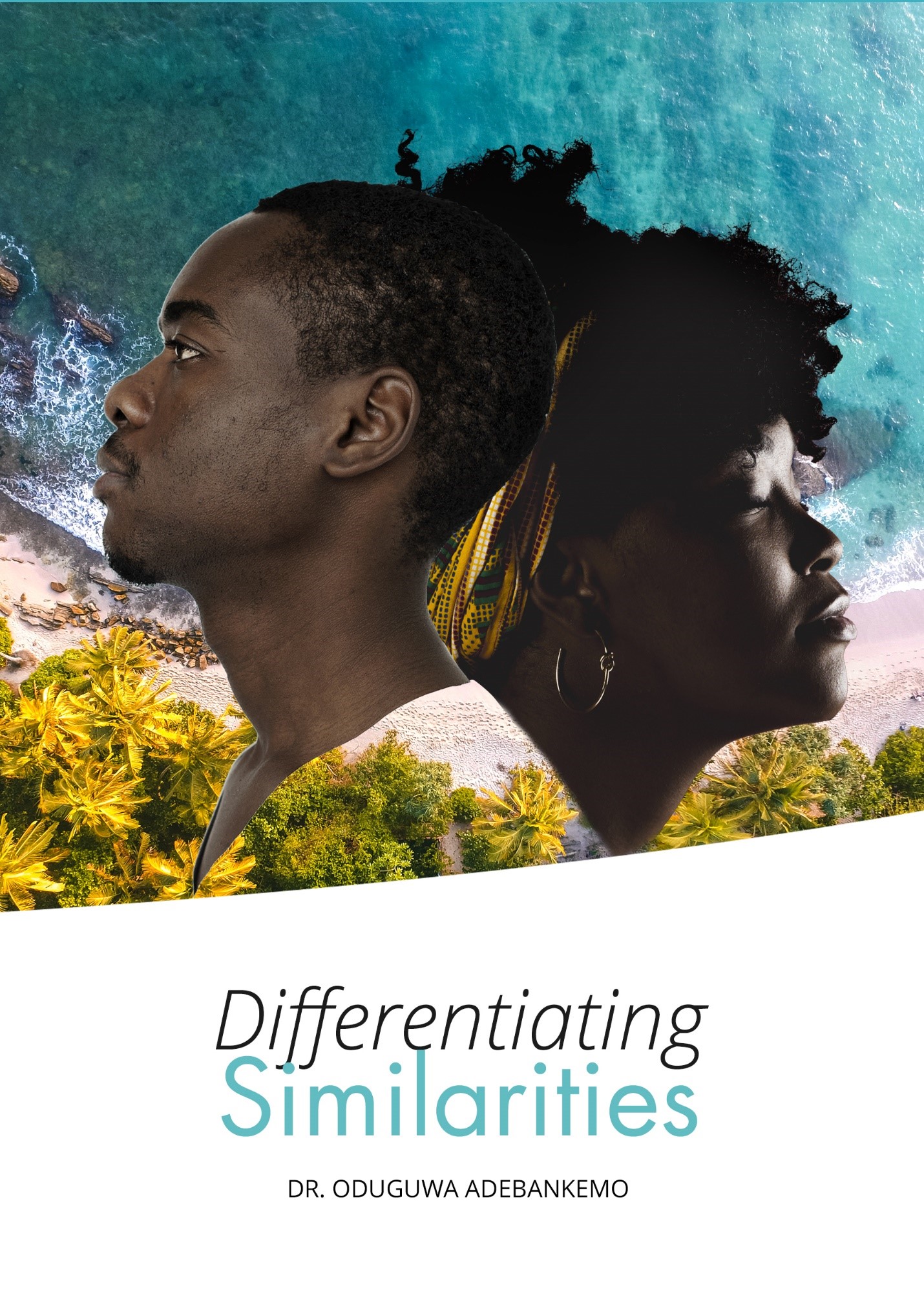 Differentiating Similarities Cover Picture