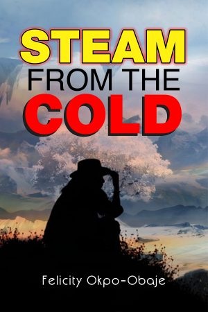 Front Cover - Steam fron the Cold