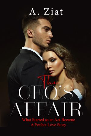 The CEOS Affair - Cover design